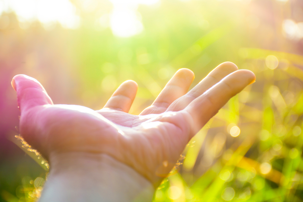 offene Hand in die Sonne gehalten
